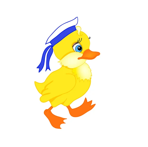 Little duck cartoon — Stock Vector