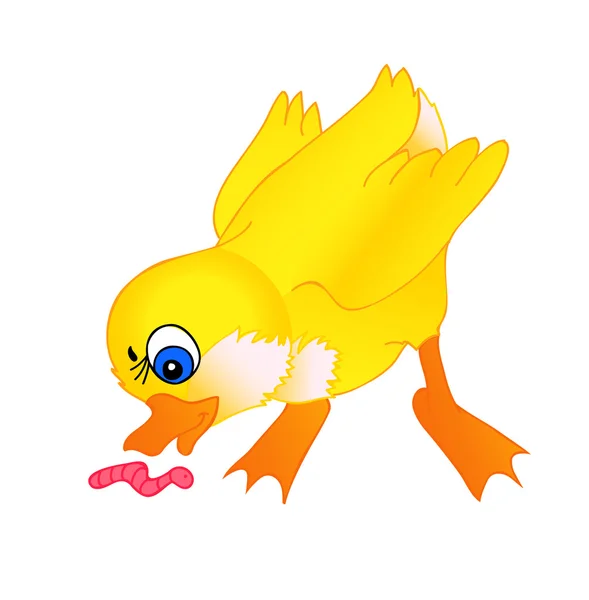 Malá kachna kreslený — Stockový vektor