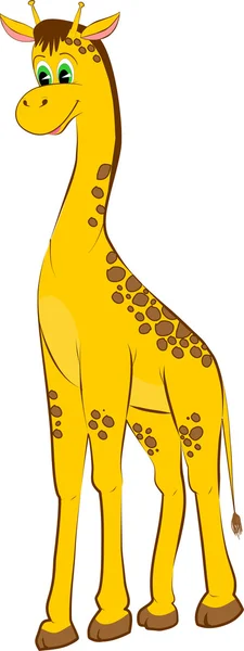 Giraffe — Stockvektor