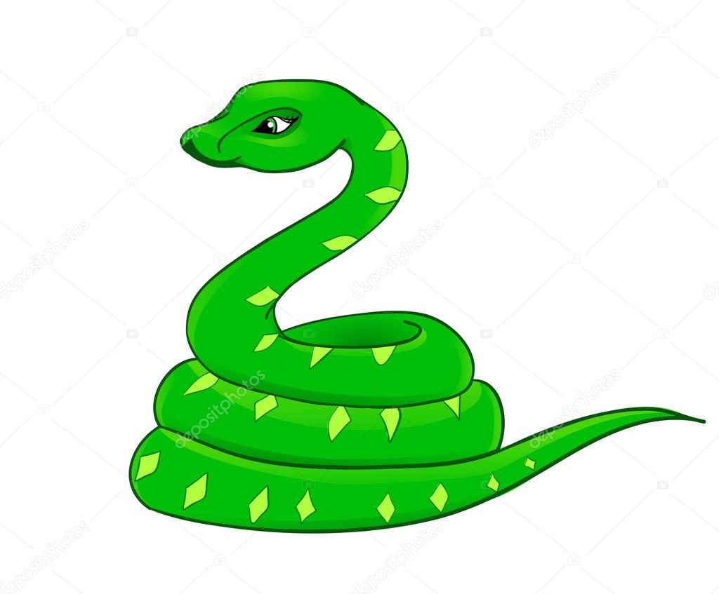 Snake cartoon with isolation on a white background