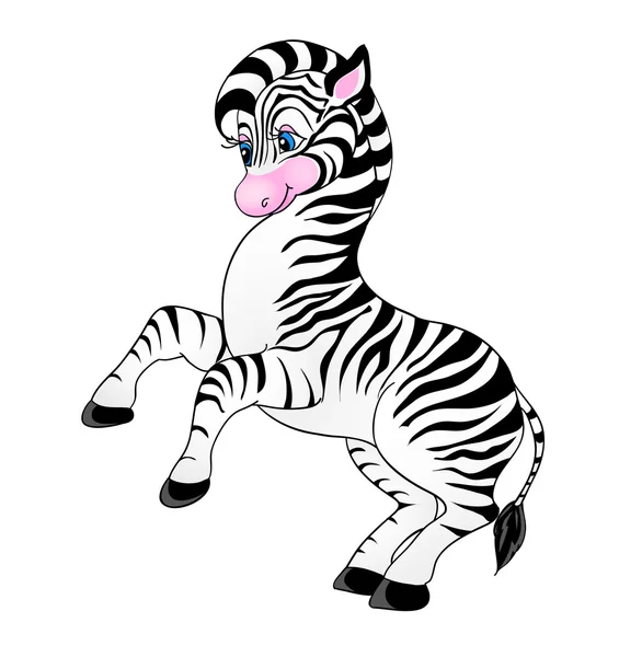 Zebra dos desenhos animados — Vetor de Stock