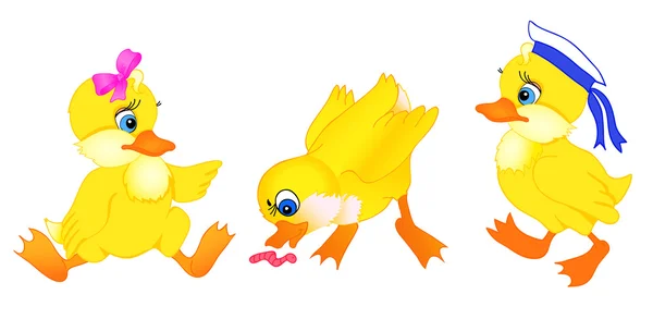 Conjunto de dibujos animados de pato — Vector de stock