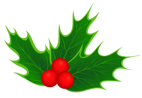 Παραδοσιακά Χριστούγεννα holly φύλλα και τα μούρα — Διανυσματικό Αρχείο