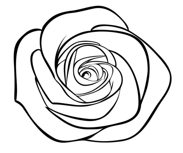 Rose silhouette noire, isolée sur blanc — Image vectorielle