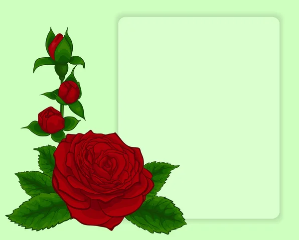 Ramo de rosas rojas. marco de diseño con patrón floral . — Vector de stock