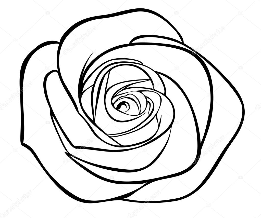 バラのつぼみ Vector Art Stock Images Depositphotos
