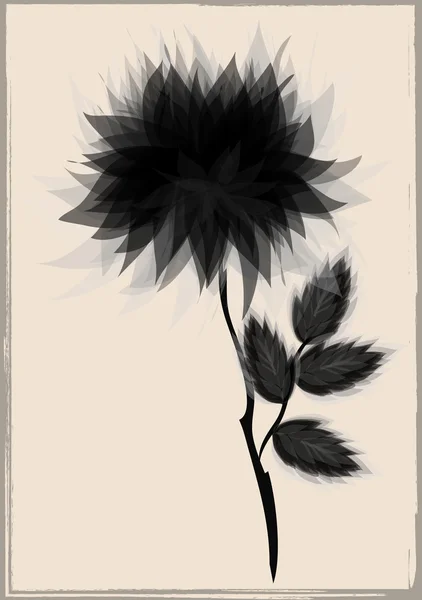 美丽的黑花，包围复古框架 — 图库矢量图片