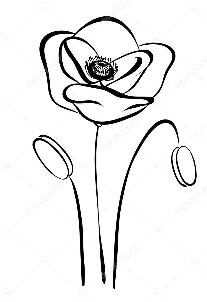 simple silhouette black and white poppy. Abstract flower pattern