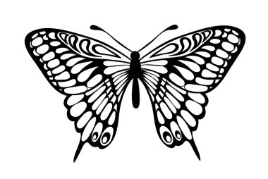 Beautiful black and white butterfly isolated on white clipart