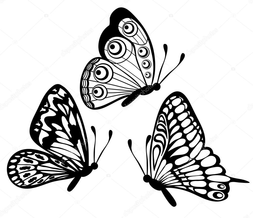 Set of Beautiful black and white butterfly isolated on white Stock ...