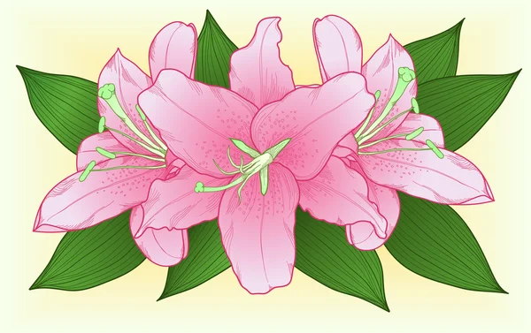 Schöner Strauß rosa Rosen mit grünen Blättern — Stockvektor