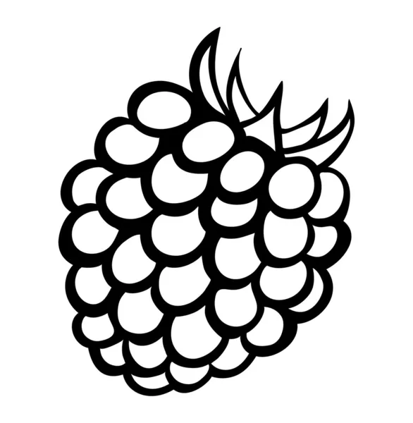 Ilustrasi monokrom vektor dari logo raspberry . - Stok Vektor