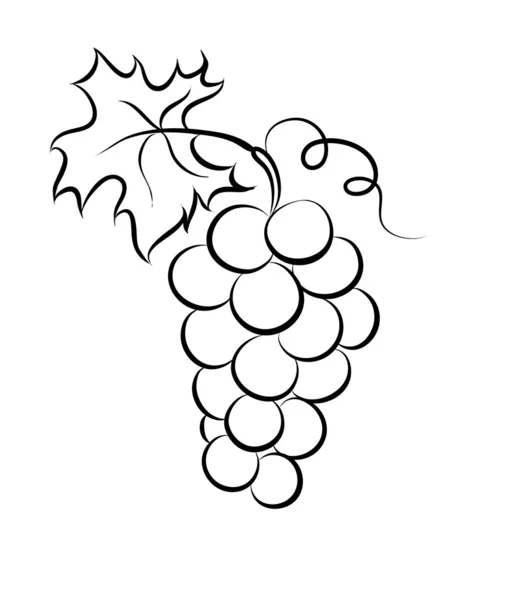 Vector monochrome illustration of grapes logo. — Stock Vector