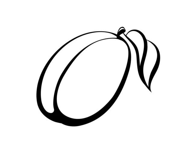 Vector monocromo ilustración del logotipo de ciruela . — Vector de stock