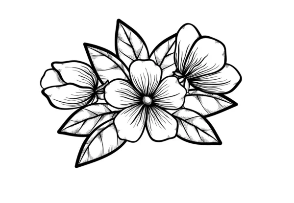 Branche d'un arbre en fleurs dans le style graphique noir blanc, dessin à la main. Symbole du printemps — Image vectorielle