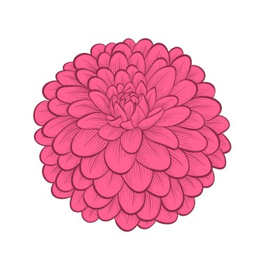 el yapımı bir grafik tarzda güzel dahlia çiçeği