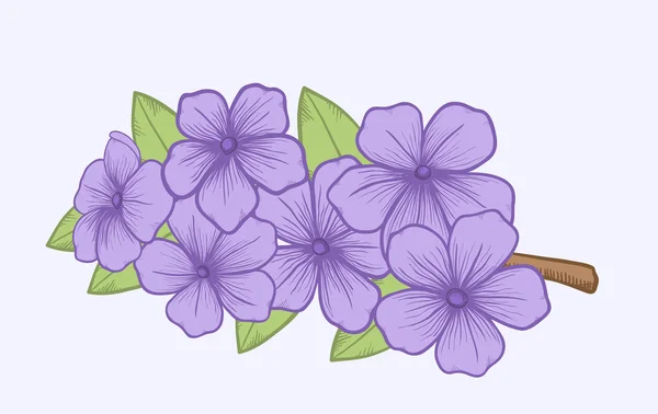 Belle branche fleurie, symbole du printemps — Image vectorielle