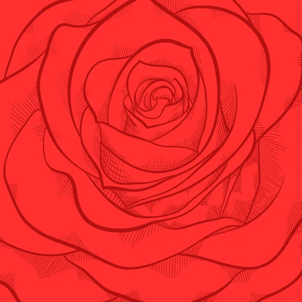 Beautiful background with red rose close-up — Stock Vector