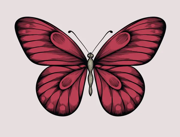 Beautiful butterfly in vintage style. Hand-drawn contour lines and strokes. Stock Vector
