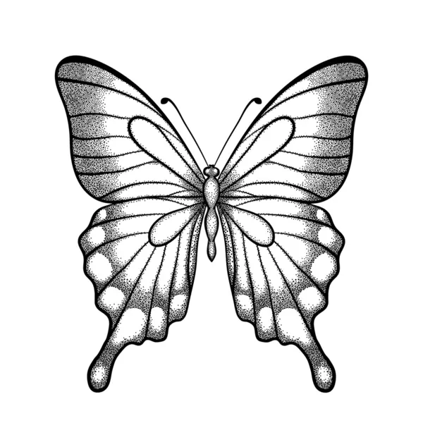 Grafisk svart och vit fjäril. handritade konturlinjer och stroke. en isolerad på vit — Stock vektor