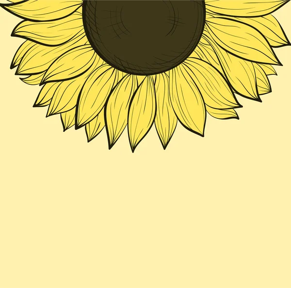Mooie achtergrond met zonnebloemen. handgetekende contour lijnen en lijnen. — Stockvector