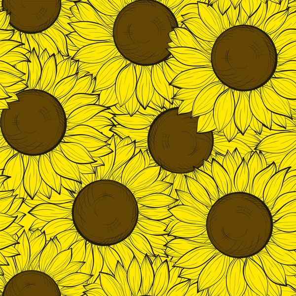 Hermoso fondo sin costuras con girasoles . — Vector de stock