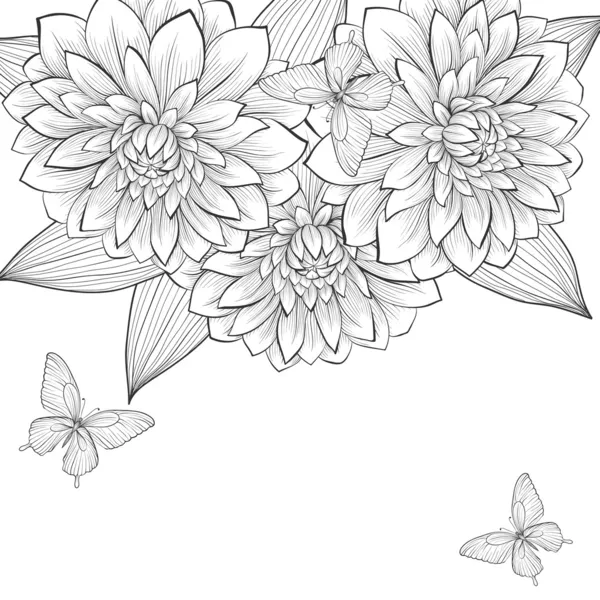 Hermoso fondo blanco y negro monocromo con marco de flores de dalia y mariposas — Vector de stock