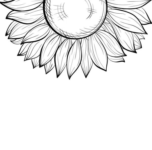 Beautiful monochrome black and white background with a floral border of sunflower — Stock Vector