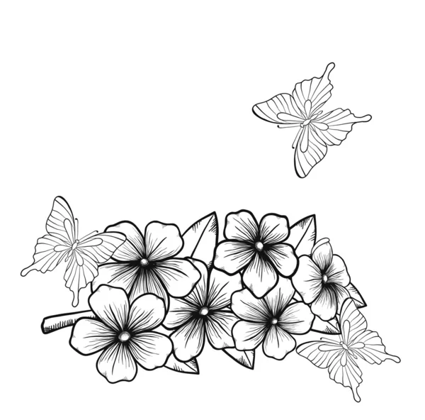 Beau fond monochrome noir et blanc avec une bordure de branches d'arbres à fleurs et de papillons — Image vectorielle