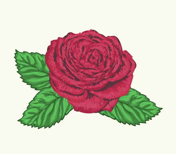 Beau bourgeon rose avec des feuilles peintes dans un style aquarelle — Image vectorielle