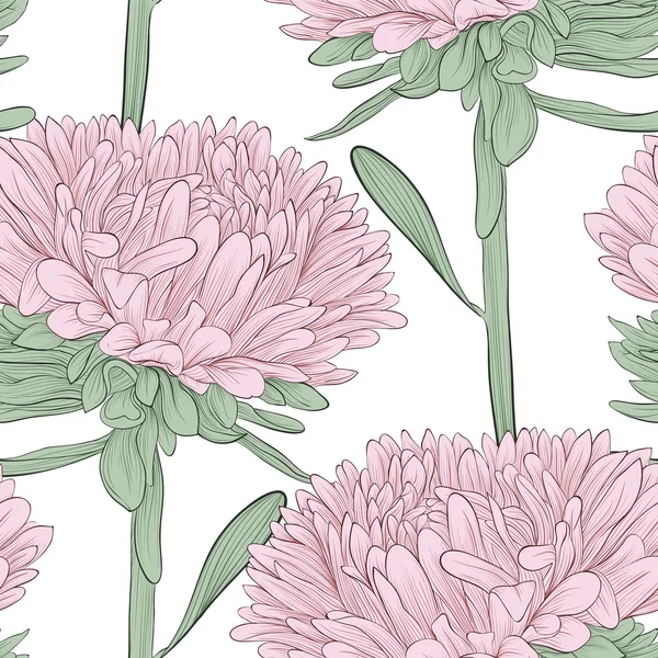 Sfondo senza cuciture con fiori rosa aster su un bianco — Vettoriale Stock