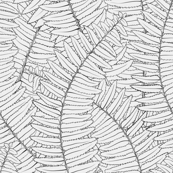 Schwarz und weiß nahtloser Hintergrund mit Farnblättern — Stockvektor