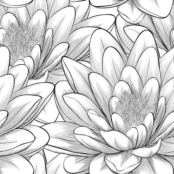 Black and white seamless pattern with lotus flowers. — Stock Vector