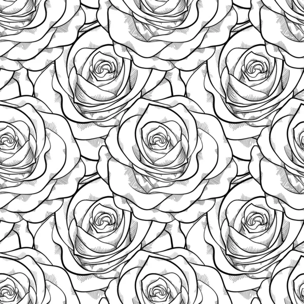 Beautiful black and white seamless pattern in roses with contours. Stock Vector