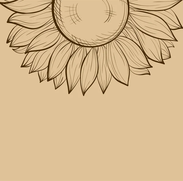Beautiful background with sunflowers. — Stock Vector