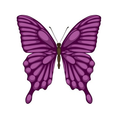 beyaz izole kelebek.