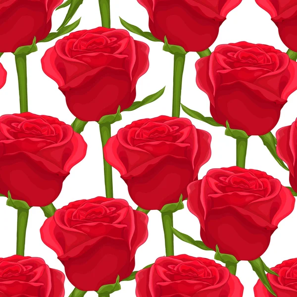 Fundo sem costura bonita com rosas vermelhas no branco . —  Vetores de Stock