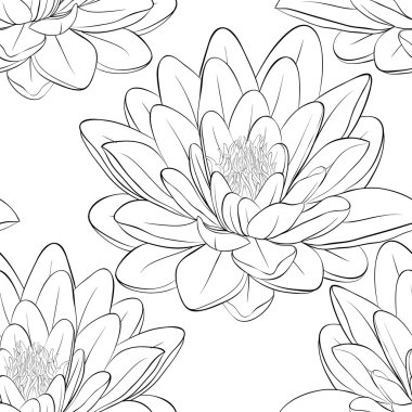 Beautiful monochrome, black and white seamless pattern with lotus flowers. clipart