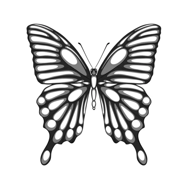 Beautiful black and white butterfly. with watercolor effect — Stock Vector