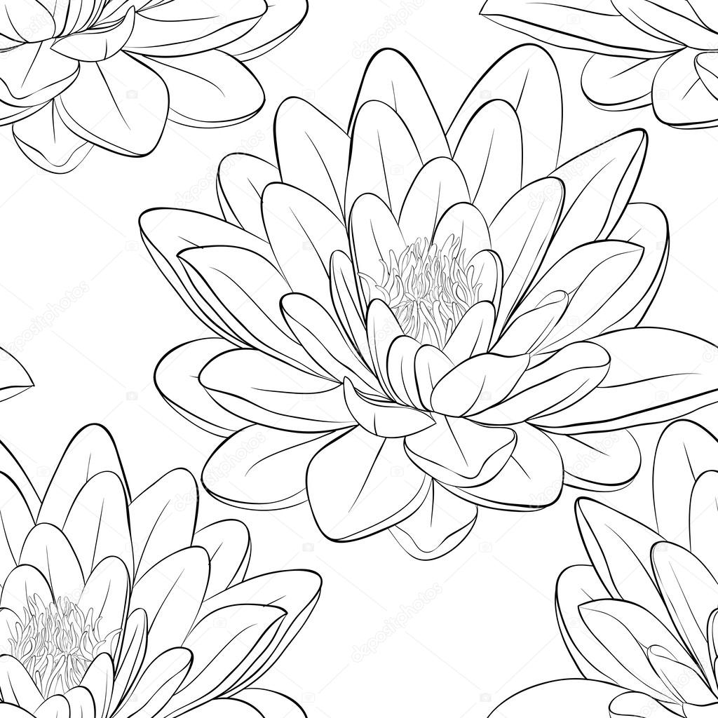 Beautiful monochrome, black and white seamless pattern with lotus flowers.