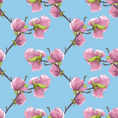 güzel sorunsuz geçmiş ile çiçeklenme Manolya ağacı dalları.