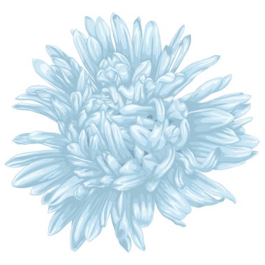 Beyaz arka plan üzerinde izole güzel mavi dalya .