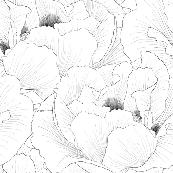 Hermoso fondo monocromo, blanco y negro sin costuras con flores Plant Paeonia arborea (Tree peony ). — Archivo Imágenes Vectoriales