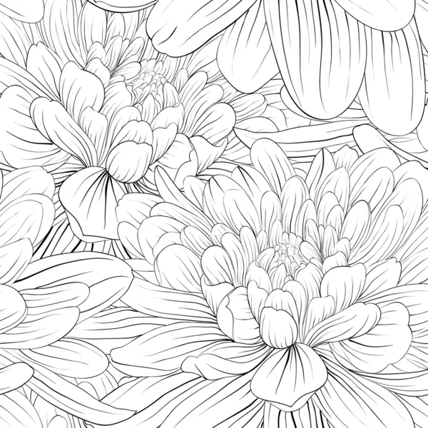 Beautiful monochrome, black and white seamless background with flowers dahlia. — Stock Vector