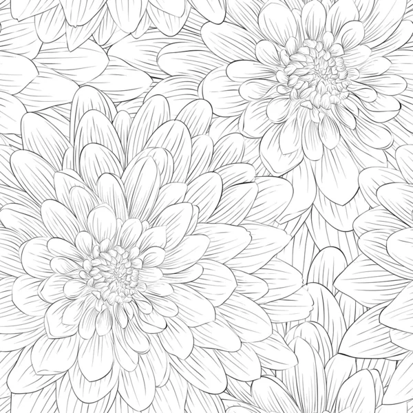 Beautiful monochrome, black and white seamless background with flowers dahlia. — Stock Vector