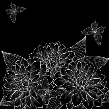 güzel tek renkli siyah ve beyaz arka plan ile çerçeve dahlia çiçekler ve kelebekler.