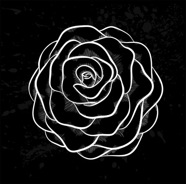 Λευκό τριαντάφυλλο περίγραμμα με γκρι σημεία σε μαύρο φόντο. — Διανυσματικό Αρχείο