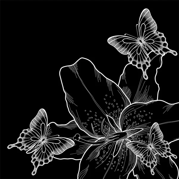 Szép háttér a pillangók és a fekete-fehér, fekete és fehér liliom üdvözlőlap. — Stock Vector