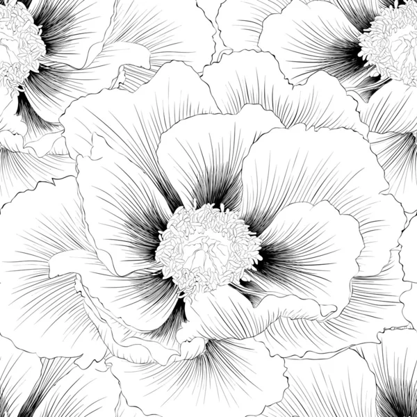 Belo fundo sem costura preto e branco monocromático com flores . — Vetor de Stock
