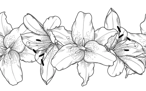 Hermoso monocromo, blanco y negro sin costuras elemento de marco horizontal de flores de lirio gris . — Vector de stock